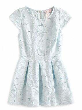 Ted Baker Light Blue Lace Dress Fit & Flare Pleated Feminine Occasion Dress